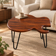 Unique Guitar Shape Coffee Table